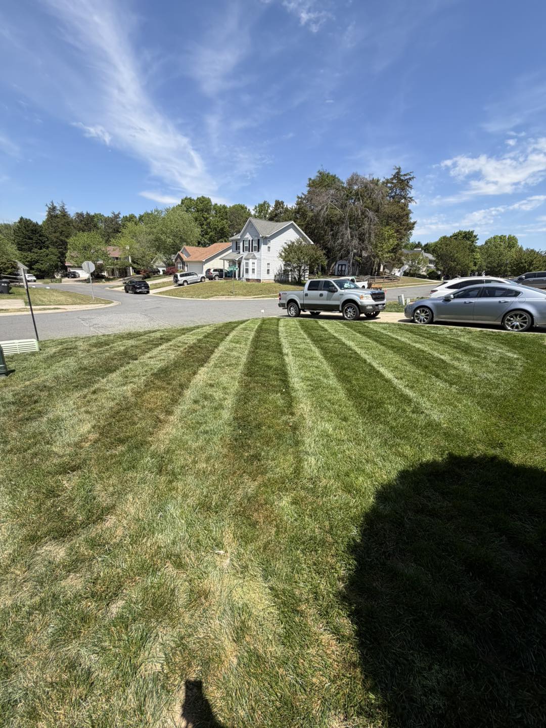 Landscaping work sample